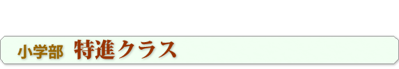 ko019.png